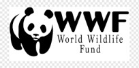 WWF